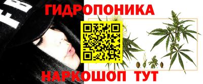 соль ск Свободный