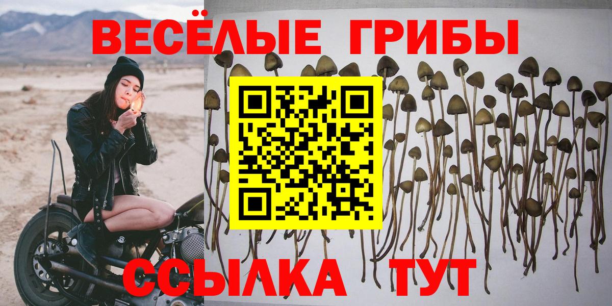 Рыбинск  купить   Вход с VPN  Галлюциногенные грибы Psilocybe  Псилоцибиновые грибы мухоморы 